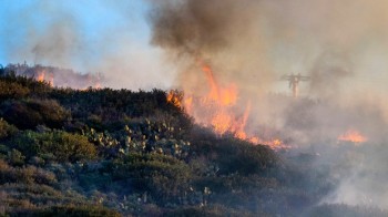 Continuano gli incendi in California: evacuata la zona di Laguna Beach, a circa 100 km da Los Angeles