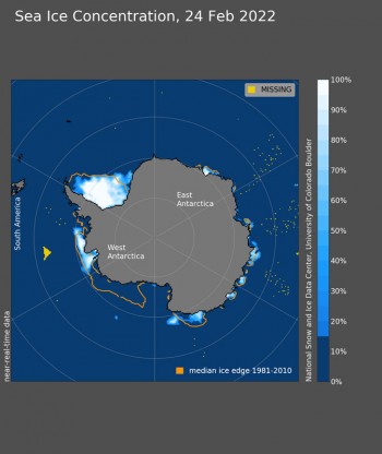 Antartide, il ghiaccio marino è ai minimi storici