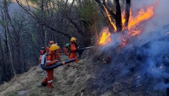 Continuano a bruciare i boschi di Verbania: dopo essersi fermato per qualche ora, il rogo ha ripreso la sua attività