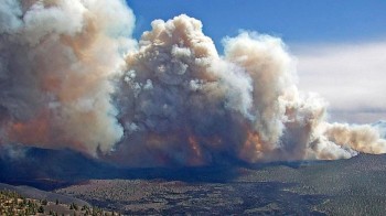 Serie di incendi negli Stati Uniti: migliaia gli evacuati in Arizona