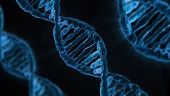 Trovati più di 5.000 virus a RNA sconosciuti nell’oceano