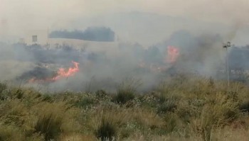 Vasto incendio nel trapanese: difficili le operazioni di spegnimento a causa del forte vento