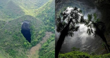 Antica foresta trovata in un’enorme dolina in Cina, potrebbe ospitare specie sconosciute