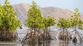 In 20 anni abbiamo perso 4.000 chilometri quadrati di zone umide