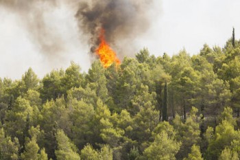 Incendi in Italia: scatta lo stato di grave pericolosità in Emilia Romagna