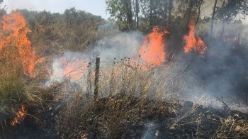 Allerta incendi in Sardegna: 26 i roghi registrati nella sola giornata di ieri