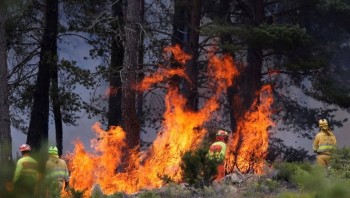 Incendi fuori controllo in Spagna: sempre più complicata la situazione in Navarra