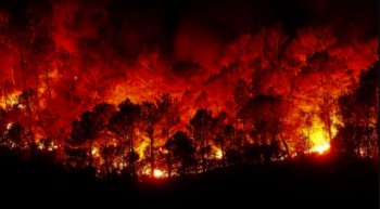 Allarme incendi negli Stati Uniti meridionali: in fiamme oltre 2000 ettari di superficie boschiva