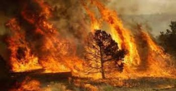 Incendi devastanti in Spagna: in fumo 20 mila ettari nella Sierra de la Culebra