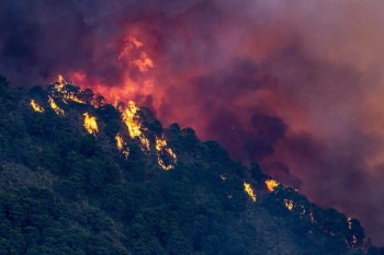 Allarme incendi in Spagna: in fiamme oltre 2000 ettari in Sierra Bermeja