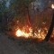 Incendi: continua a bruciare la Liguria